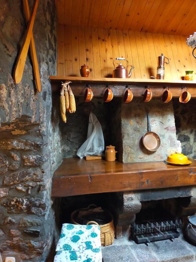 Cal Ferrer Habitatge Rural Villa Cava Eksteriør billede