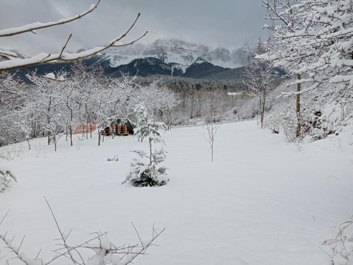 Cal Ferrer Habitatge Rural Villa Cava Eksteriør billede